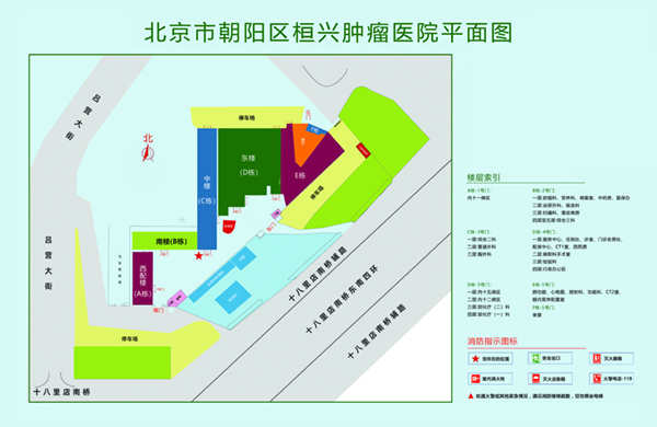 国外操逼逼逼逼逼逼大全北京市朝阳区桓兴肿瘤医院平面图